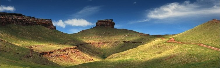 Природа родного края