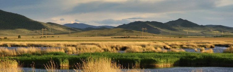 Природа родного края